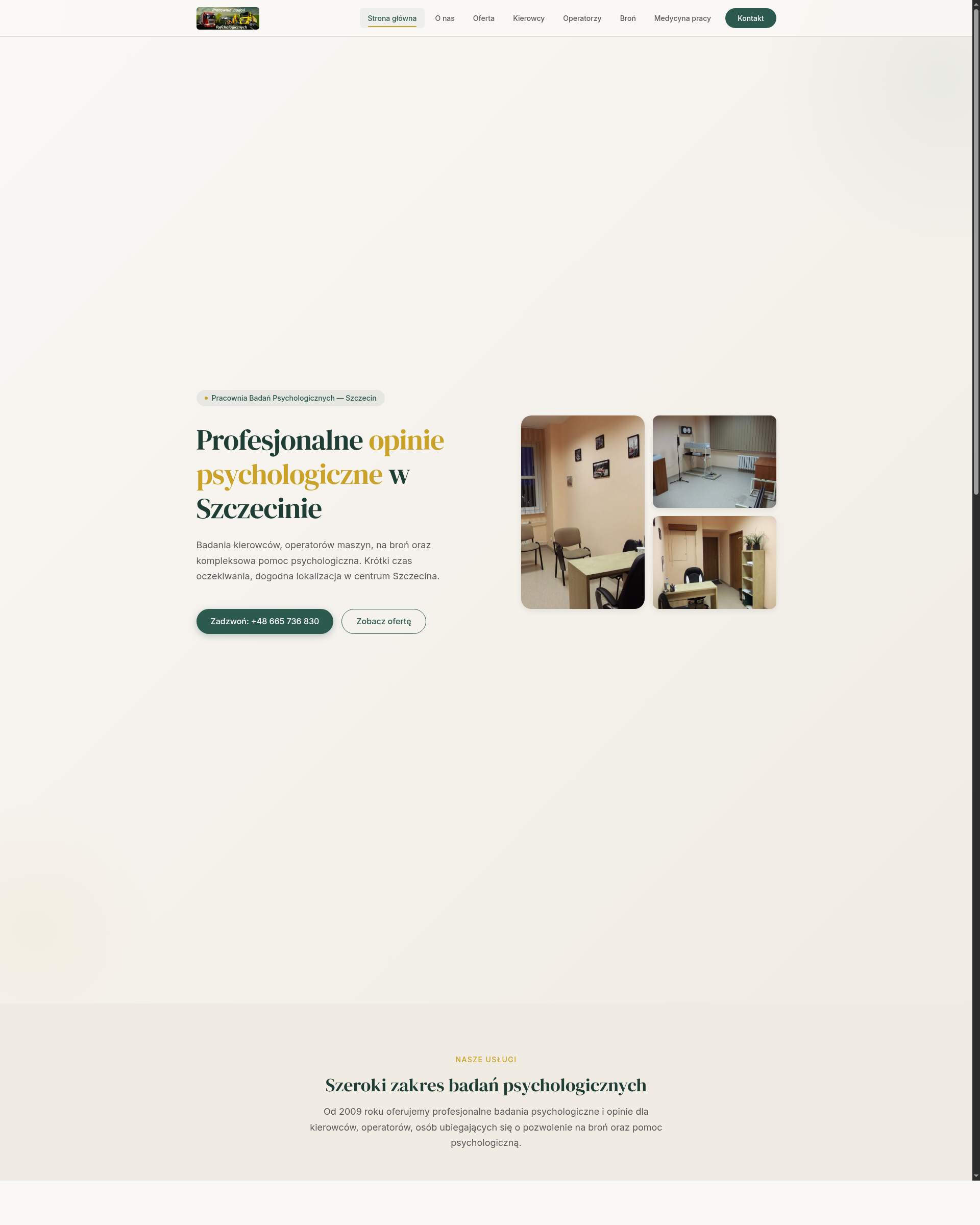 Psychology clinic website full page showing services section